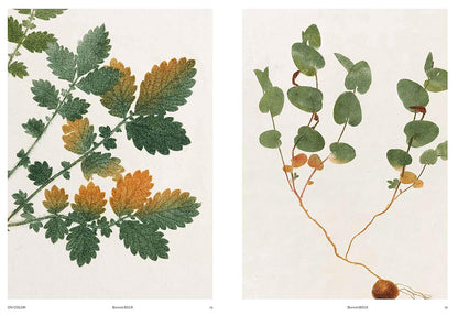 Capturing Nature: 150 Years of Nature Printing