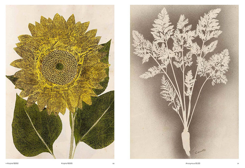 Capturing Nature: 150 Years of Nature Printing