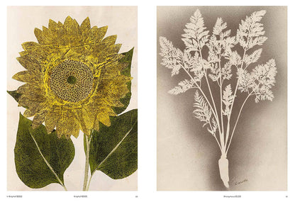 Capturing Nature: 150 Years of Nature Printing