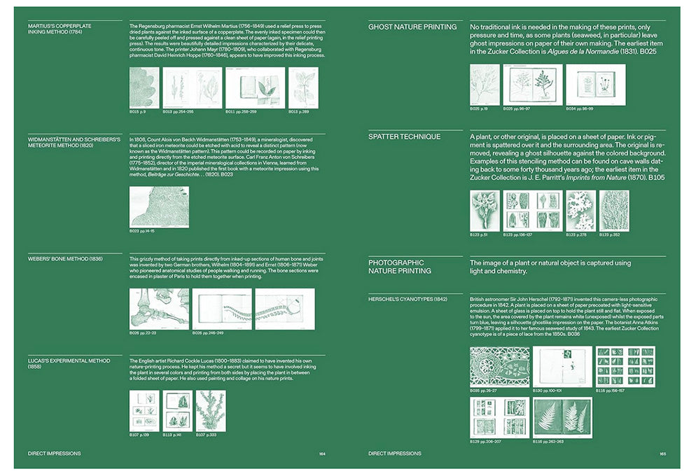 Capturing Nature: 150 Years of Nature Printing