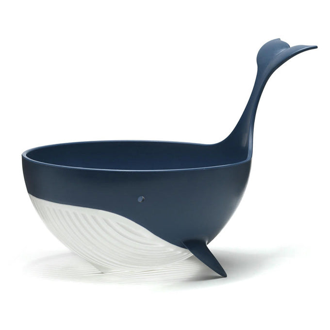 Pastail Colander