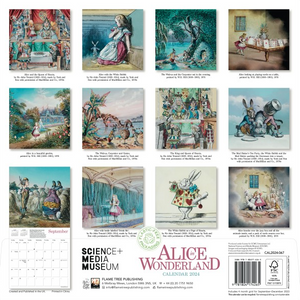 Science Museum: Alice in Wonderland  Wall Calendar 2024