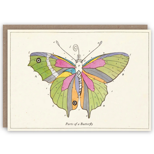 Parts of a Butterfly Card