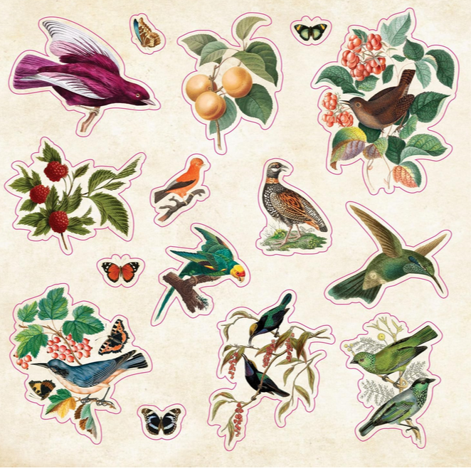 The Sticker Book of Curiosities