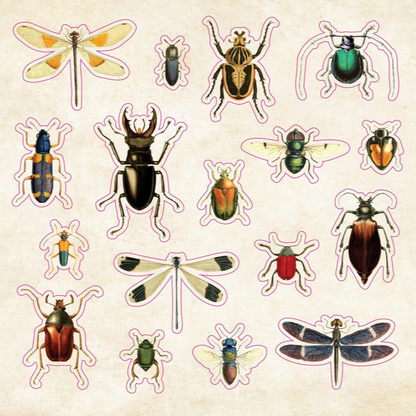 The Sticker Book of Curiosities