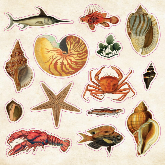 The Sticker Book of Curiosities