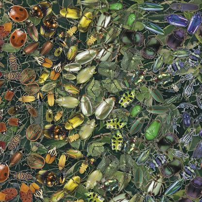Beetles 1000-Piece Jigsaw Puzzle - Natural History Museum