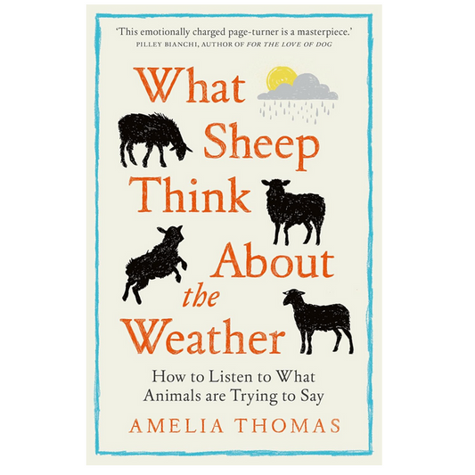 What Sheep Think About the Weather - How to listen to what animals are trying to say