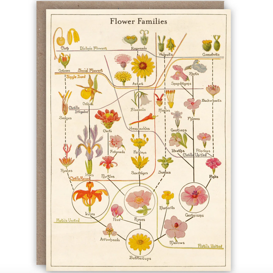 Flower Families Card