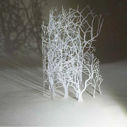 Papercutting - Geometric Designs Inspired By Nature
