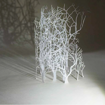 Papercutting - Geometric Designs Inspired By Nature