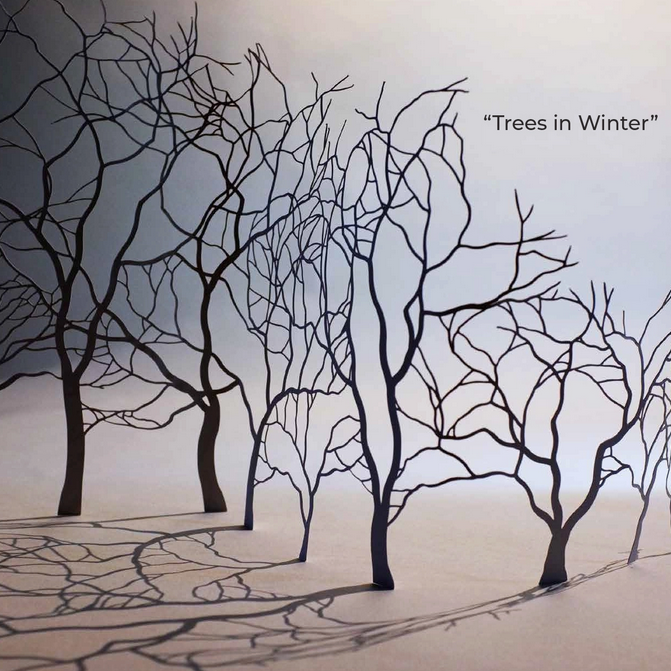 Papercutting - Geometric Designs Inspired By Nature