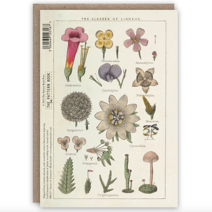 Classes of Linnaeus Card