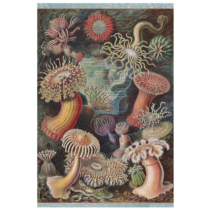 Ernst Haeckel Sea Anemones 500-Piece Jigsaw Puzzle