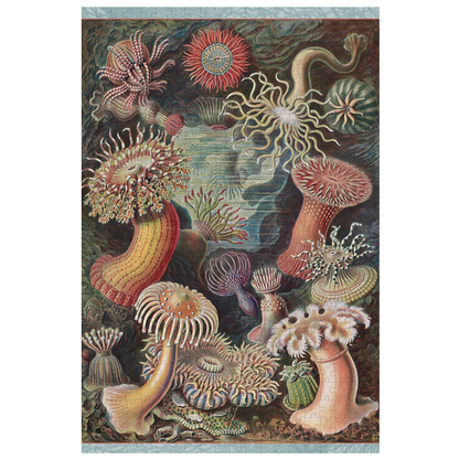 Ernst Haeckel Sea Anemones 500-Piece Jigsaw Puzzle