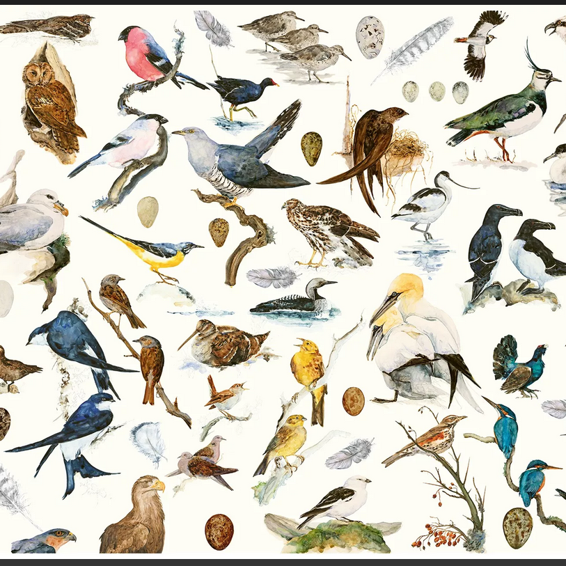 Book of Birds 1000-Piece Jigsaw Puzzle