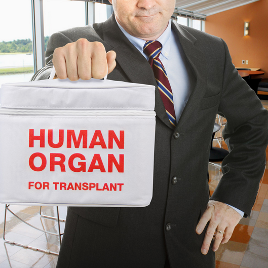 Emergency Meal Transport Lunch Bag