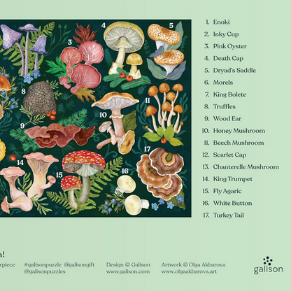 World of Mushrooms 1000-Piece Jigsaw Puzzle