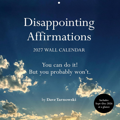Disappointing Affirmations Wall Calendar 2027