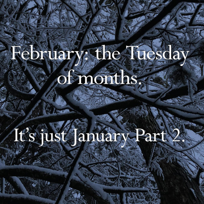 Disappointing Affirmations Wall Calendar 2027