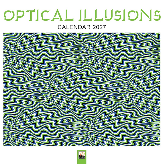 Optical Illusions 2027 Wall Calendar