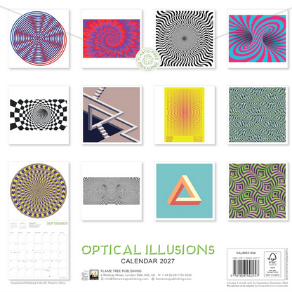 Optical Illusions 2027 Wall Calendar