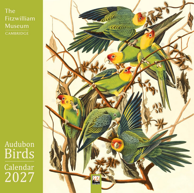 The  Fitzwilliam Museum Audubon Birds 2027 Wall Calendar