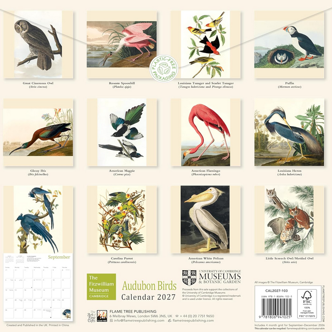 The  Fitzwilliam Museum Audubon Birds 2027 Wall Calendar