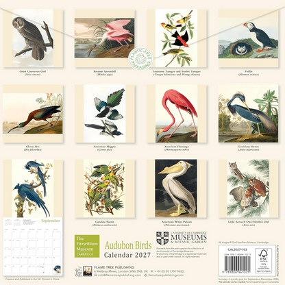 The  Fitzwilliam Museum Audubon Birds 2027 Wall Calendar
