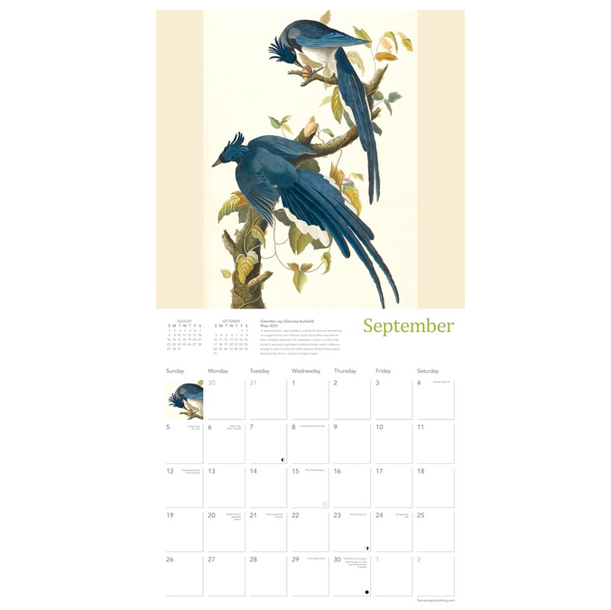 The  Fitzwilliam Museum Audubon Birds 2027 Wall Calendar