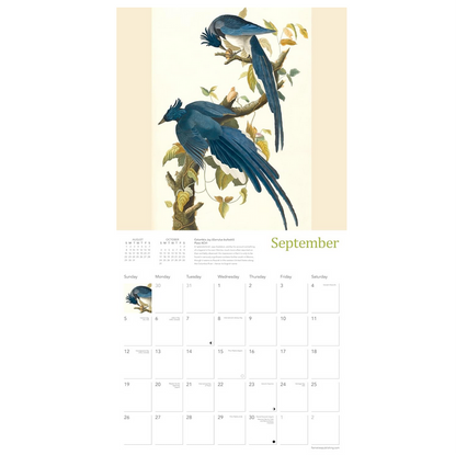 The  Fitzwilliam Museum Audubon Birds 2027 Wall Calendar