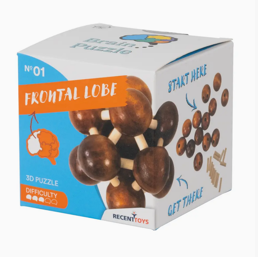 Frontal Lobe Wooden Puzzle