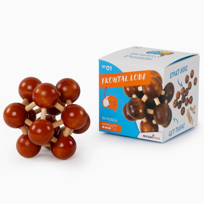 Frontal Lobe Wooden Puzzle