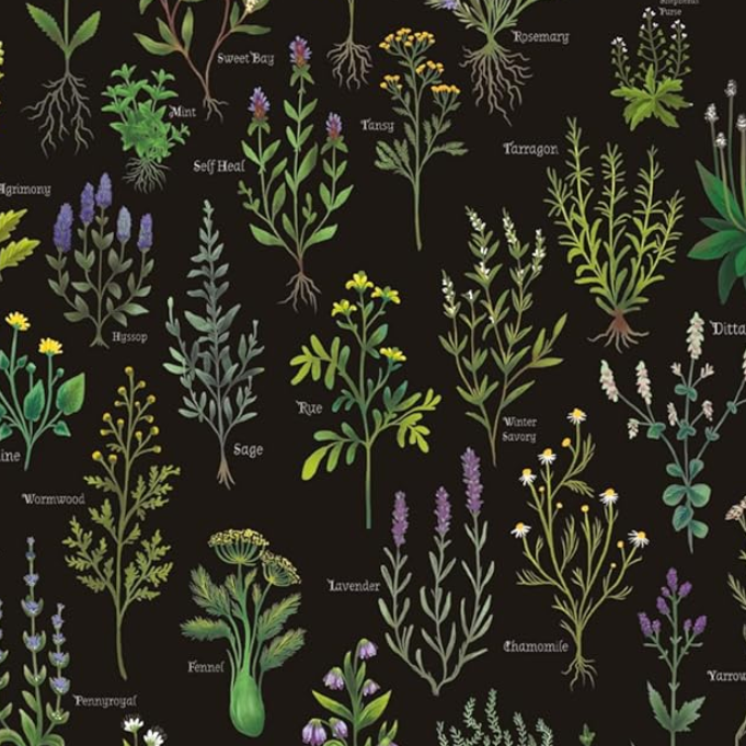 Medieval Herbal 2027 Luxury Diary Planner