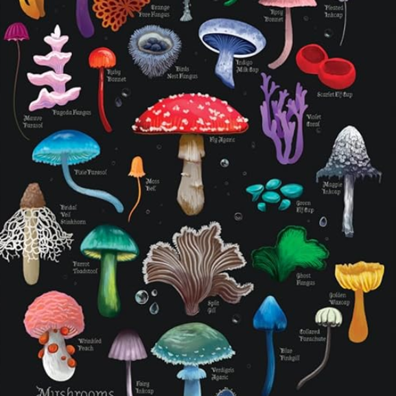 Mushrooms and Fungi 2027 Luxury Pocket Diary Planner