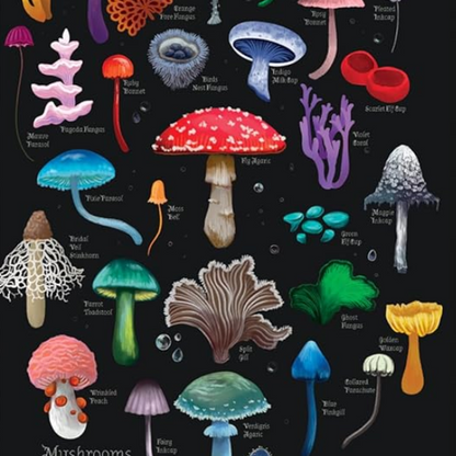 Mushrooms and Fungi 2027 Luxury Pocket Diary Planner