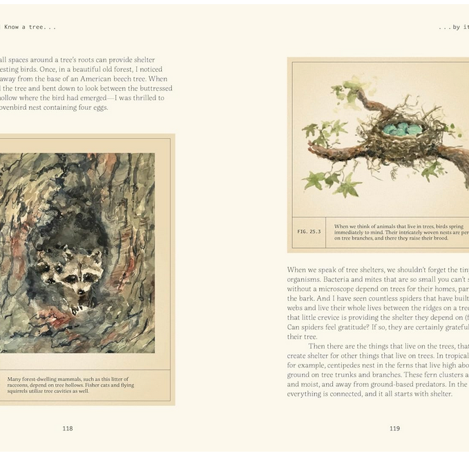 Forty Ways to Know a Tree