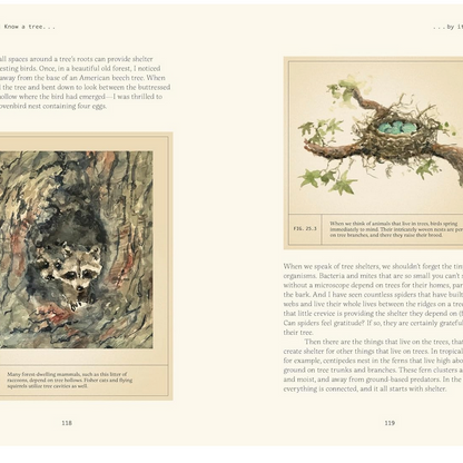 Forty Ways to Know a Tree
