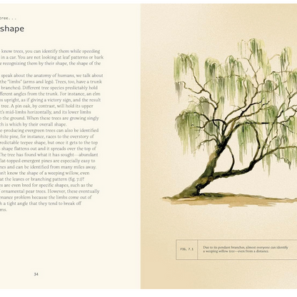 Forty Ways to Know a Tree