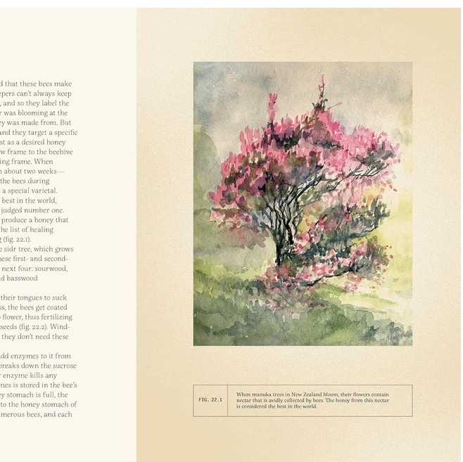 Forty Ways to Know a Tree