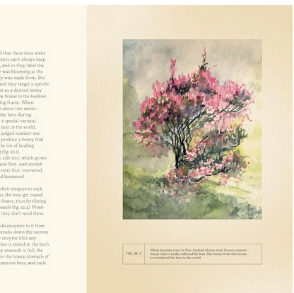 Forty Ways to Know a Tree