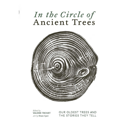 In the Circle of Ancient Trees