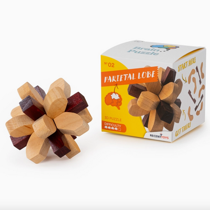 Parietal Lobe Wooden Puzzle