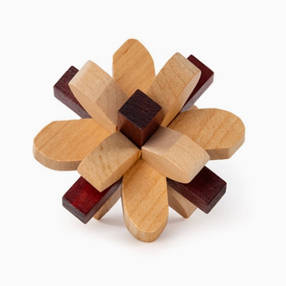 Parietal Lobe Wooden Puzzle
