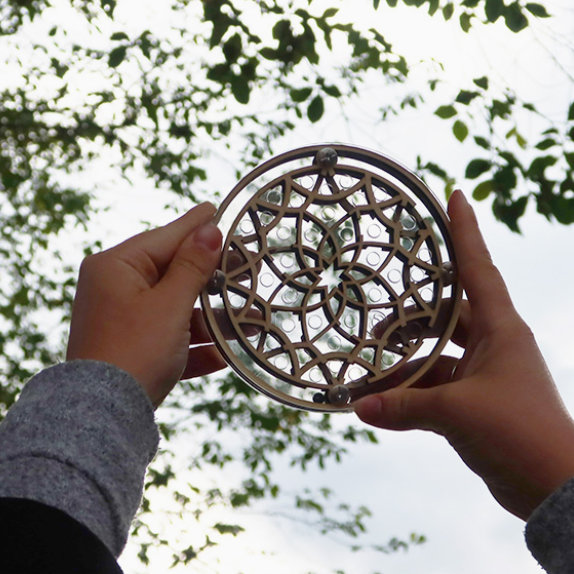 Flower Maze Puzzle