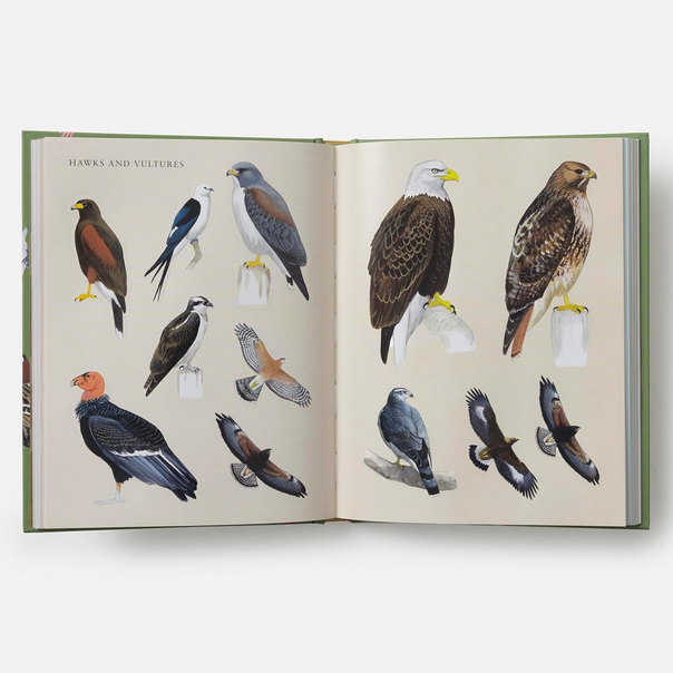 Sibley Birding Sticker Book