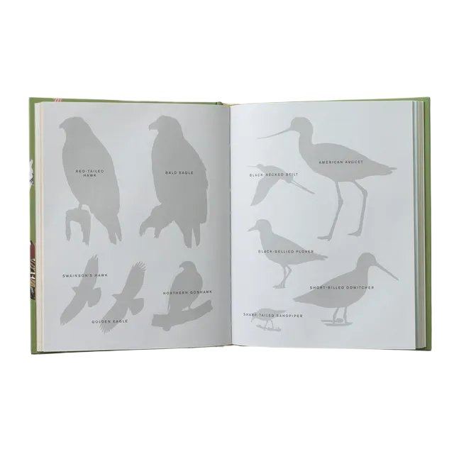 Sibley Birding Sticker Book