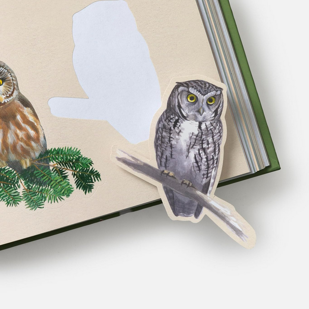 Sibley Birding Sticker Book