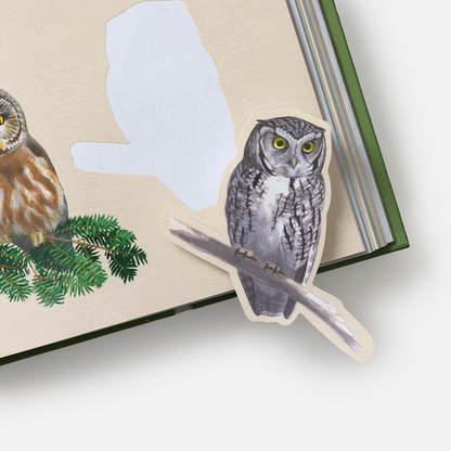 Sibley Birding Sticker Book