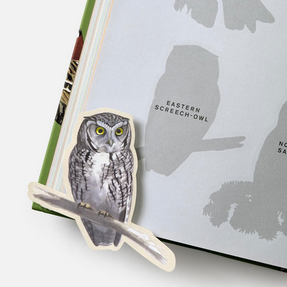 Sibley Birding Sticker Book